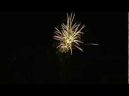 JW2006 I Show of Fireworks I Pivoines multi, sifflets, saule dorée, cligno