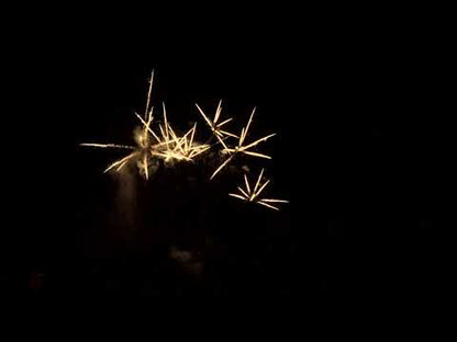 JW6011 I Episode XIII I 36cps Chrysantheme Crepitant